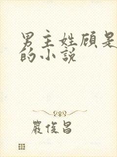 男主姓顾是影帝的小说
