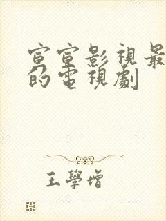 宣宣影视最好看的电视剧