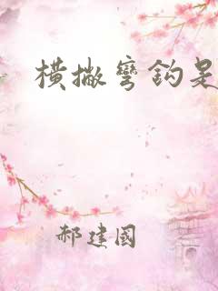 横撇弯钩是几笔