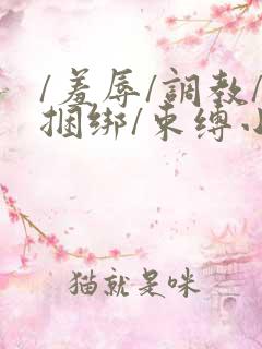 /羞辱/调教/捆绑/束缚小说