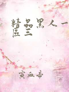 精品黑人一区二区三
