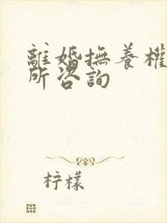 离婚抚养权律师所咨询