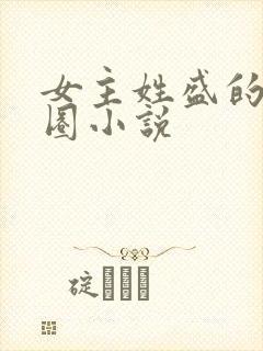 女主姓盛的娱乐圈小说