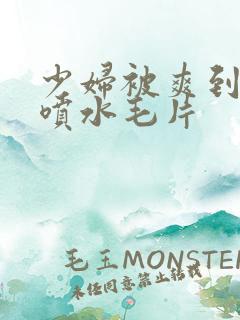 少妇被爽到高潮喷水毛片