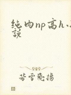 纯肉np高h小说