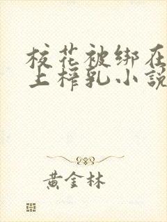 校花被绑在机器上榨乳小说h