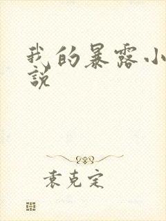 我的暴露小说小说
