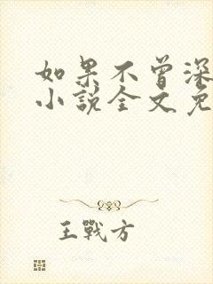 如果不曾深爱你小说全文免费阅读