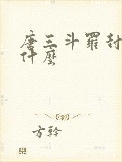 唐三斗罗封号是什么