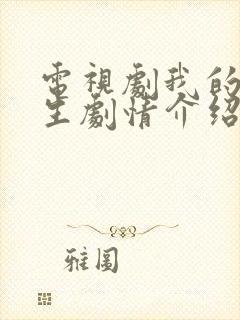 电视剧我的下半生剧情介绍