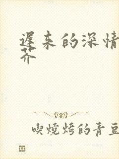 迟来的深情如草芥