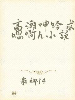 高潮呻吟求饶h嗯啊h小说