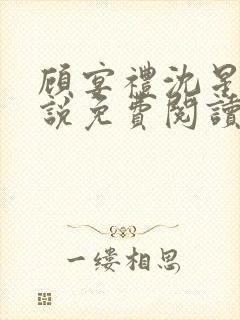 顾宴礼沈星洛小说免费阅读最新章节