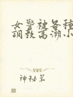 女警被各种刑具调教高潮小说