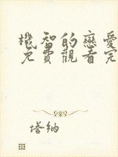 机智的恋爱综艺免费观看完整版