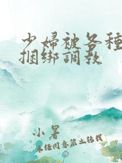 少妇被各种姿势捆绑调教