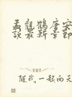 孟观鹤唐安意小说最新章节免费阅读