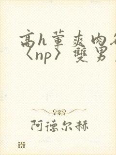 高h荤爽肉欲文〈np〉双男主