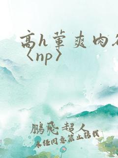 高h荤爽肉欲文〈np〉