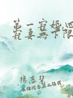 第一宠婚,四少宠妻无下限