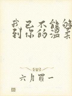 我已不能够再见到你的温柔是什么歌