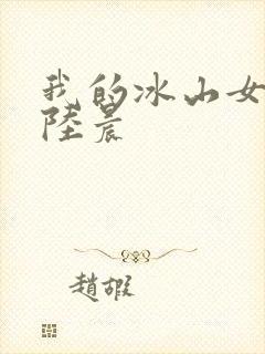 我的冰山女总裁陆晨