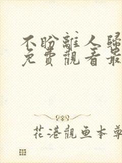 不盼离人归短剧免费观看最新章节