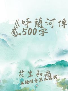 《呼兰河传》有感500字