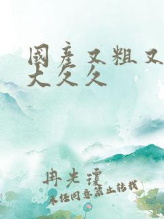 国产又粗又长又大久久