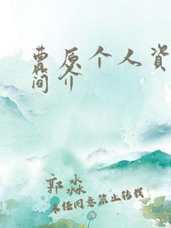 曹原个人资料及简介