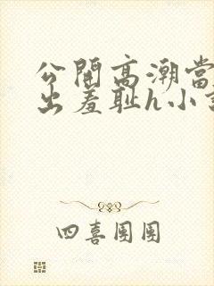 公开高潮当众露出羞耻h小说