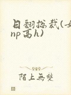 日翻总裁(女攻np高h)
