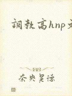 调教高hnp文