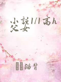 小说1/1高h父女