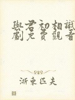 与君初相识电视剧免费观看全集