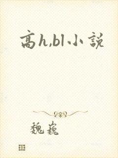 高h,bl小说
