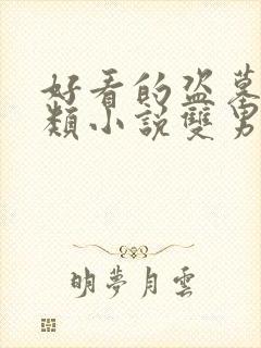 好看的盗墓探险类小说双男主