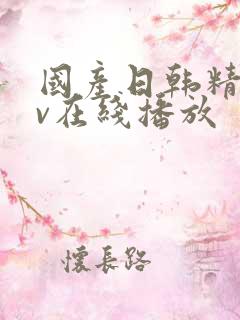 国产日韩精品av在线播放