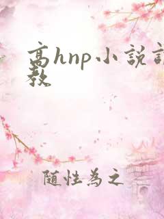 高hnp小说调教