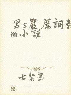 男s严厉调教女m小说
