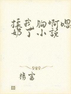 揉我胸啊嗯～出奶了小说