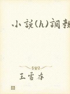 小说(h)调教