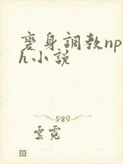 变身调教np高h小说