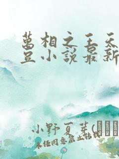 万相之王天蚕土豆小说最新章节