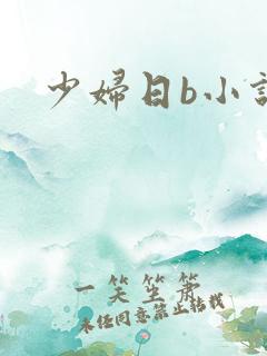 少妇日b小说
