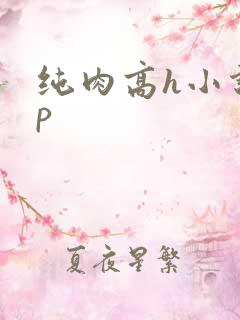 纯肉高h小说np