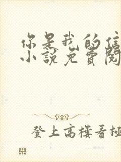 你是我的信息素小说免费阅读