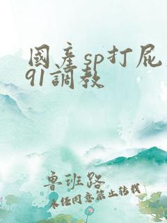 国产sp打屁股91调教