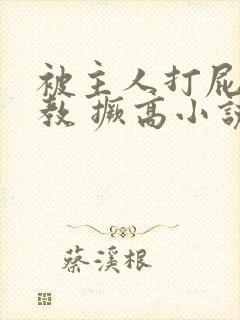 被主人打屁股调教 撅高小说