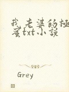 我老婆的极品闺蜜txt小说